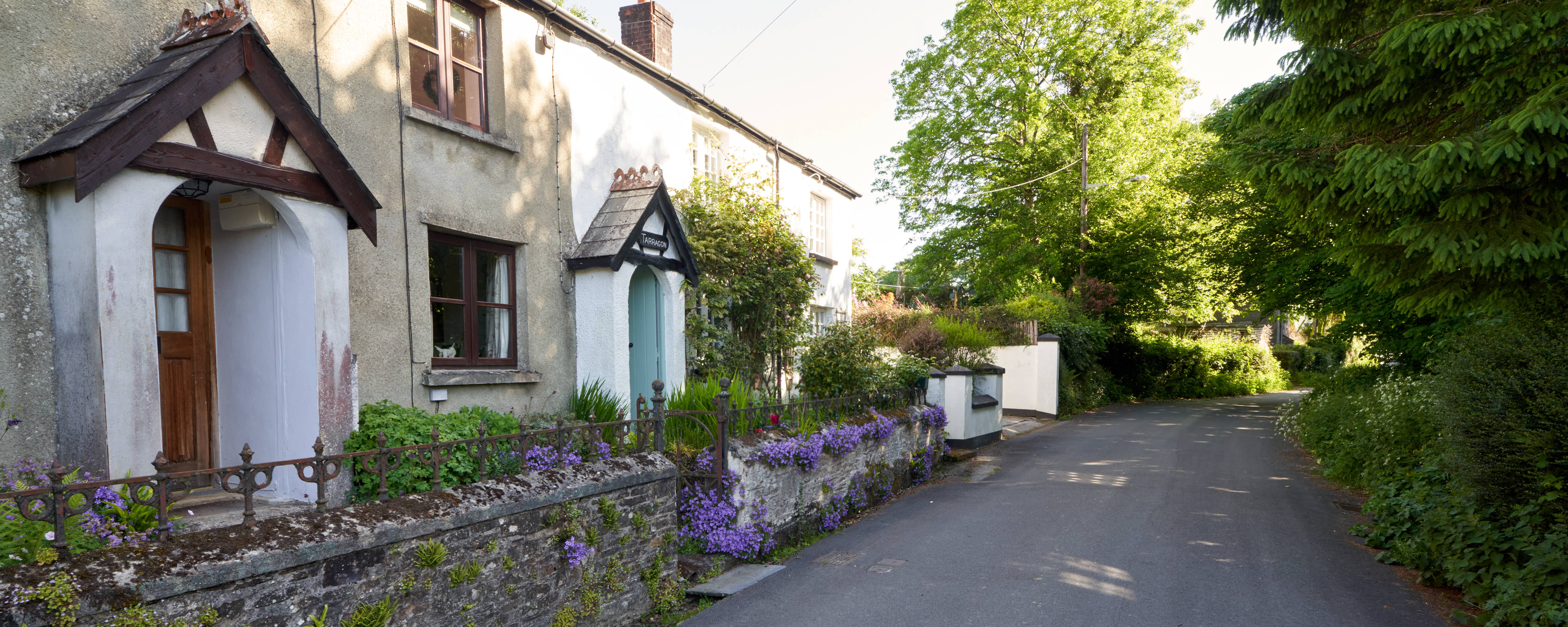 Photo of cottages with bluebells